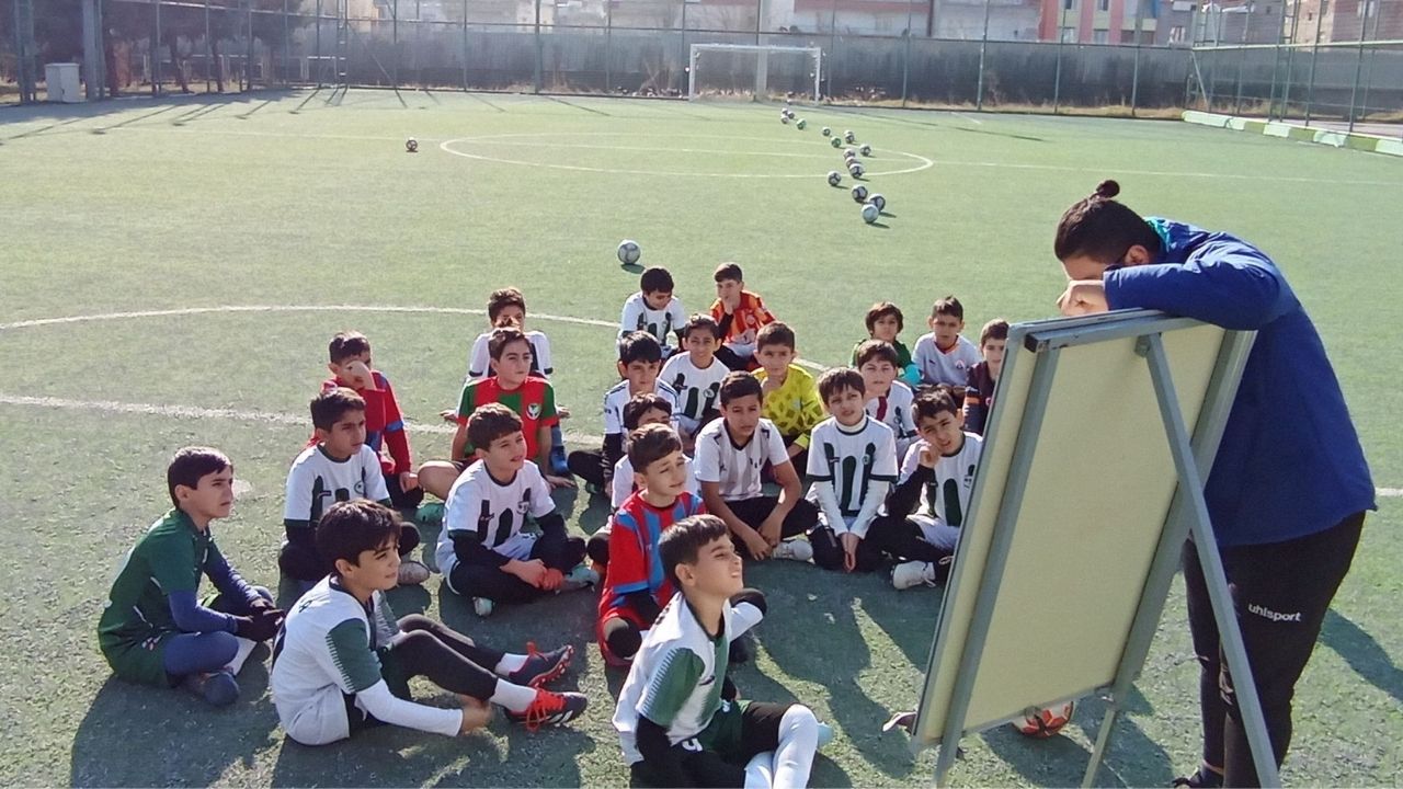 Dsi2