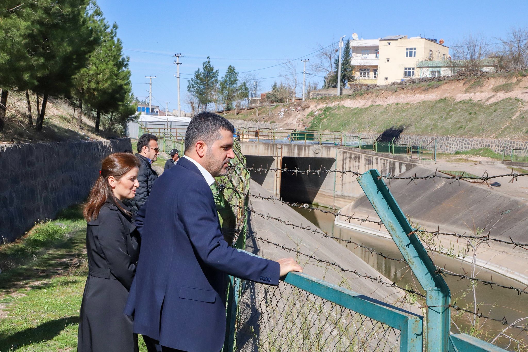 Mehmet Şerifoğlu1