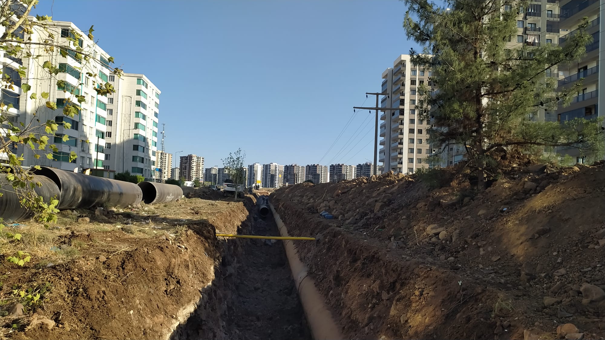 Toki Ağaç Tahribat1