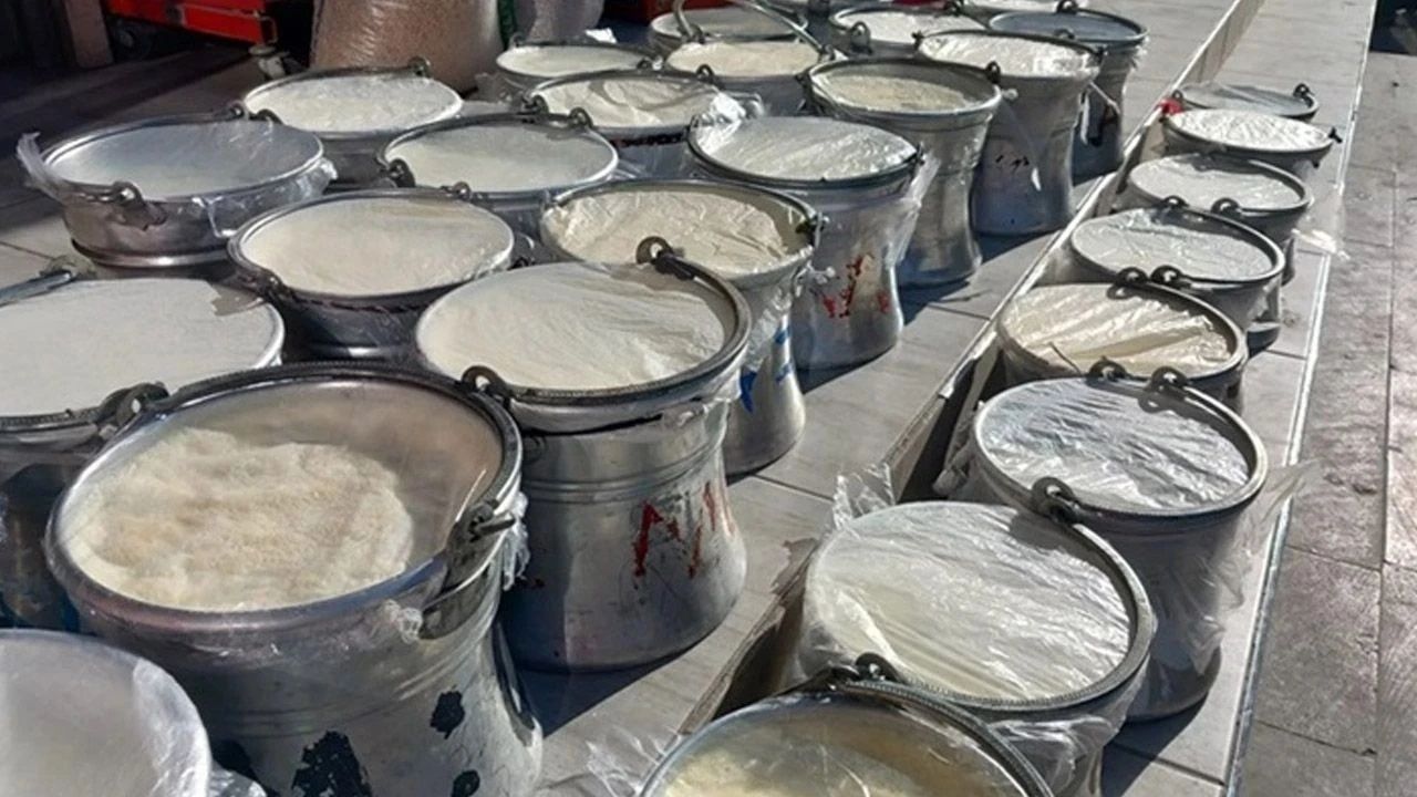 Yoğurt