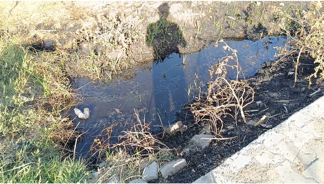 Altyapı Birikinti Su