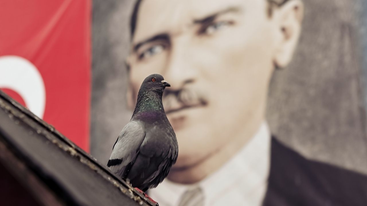 Mesajda Cumhuriyet’in kuruluşunun 102’nci yıldönümüne kavuşmanın coşkusunun yaşandığı belirtilerek, "Bu vesileyle aziz milletimizin her bir ferdinin, yurt dışında yaşayan vatandaş ve soydaşlarımızın Cumhuriyet Bayramı’nı tebrik ediyoruz. Bundan bir asır önce aziz milletimiz, sarsılmaz imanı, dirayeti ve ferasetiyle tarihte eşine az rastlanır bir istiklal mücadelesi vermiştir. Şanlı tarihinden aldığı ilhamla hürriyetini, vatanını ve mukaddesatını korumak için birlik ve beraberlik içinde hareket ederek esaret zincirlerini kırmış ve Türkiye Cumhuriyeti’ni kurmuştur. Tarihe altın harflerle yazılan destansı bir mücadelenin ardından kurulan Türkiye Cumhuriyeti, milletimizin yüreğinde büyüttüğü vatan sevgisinin ve hürriyet arzusunun bir eseridir" denildi.