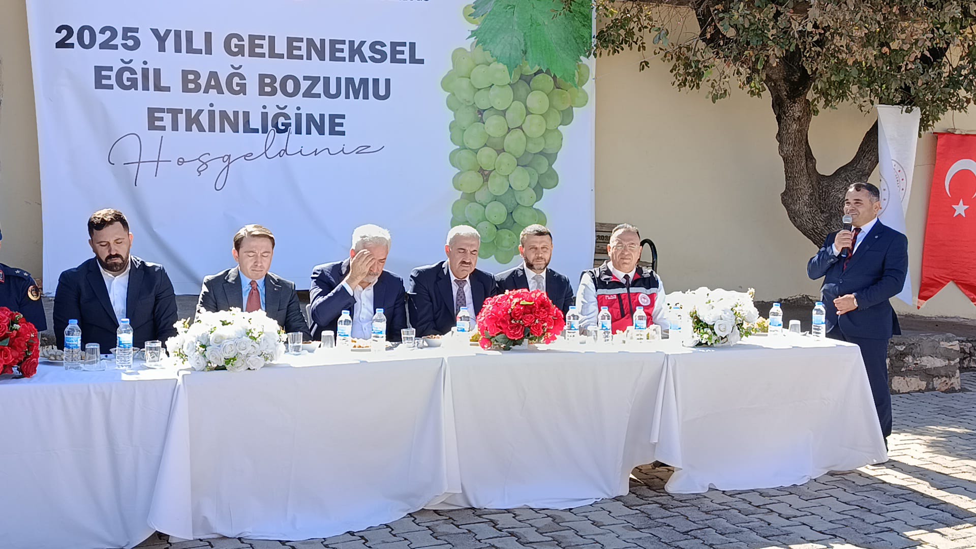Bağ Bozumu