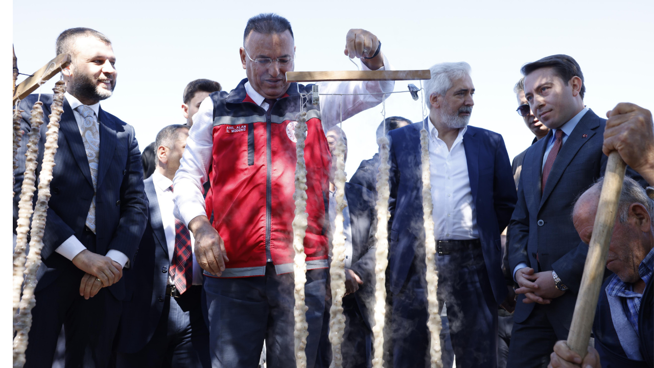 Bağbozumuu
