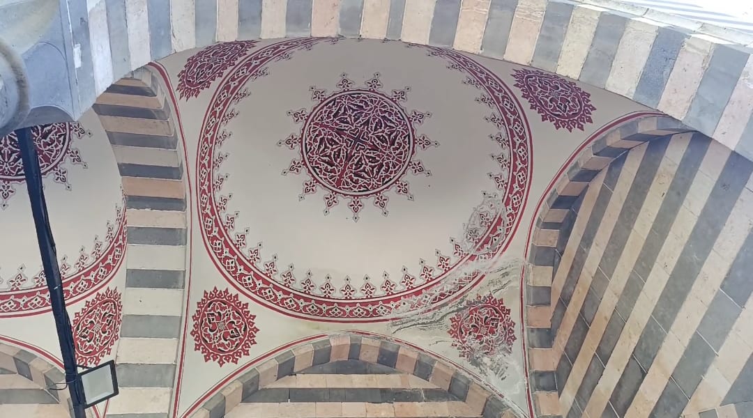 Desen Cami