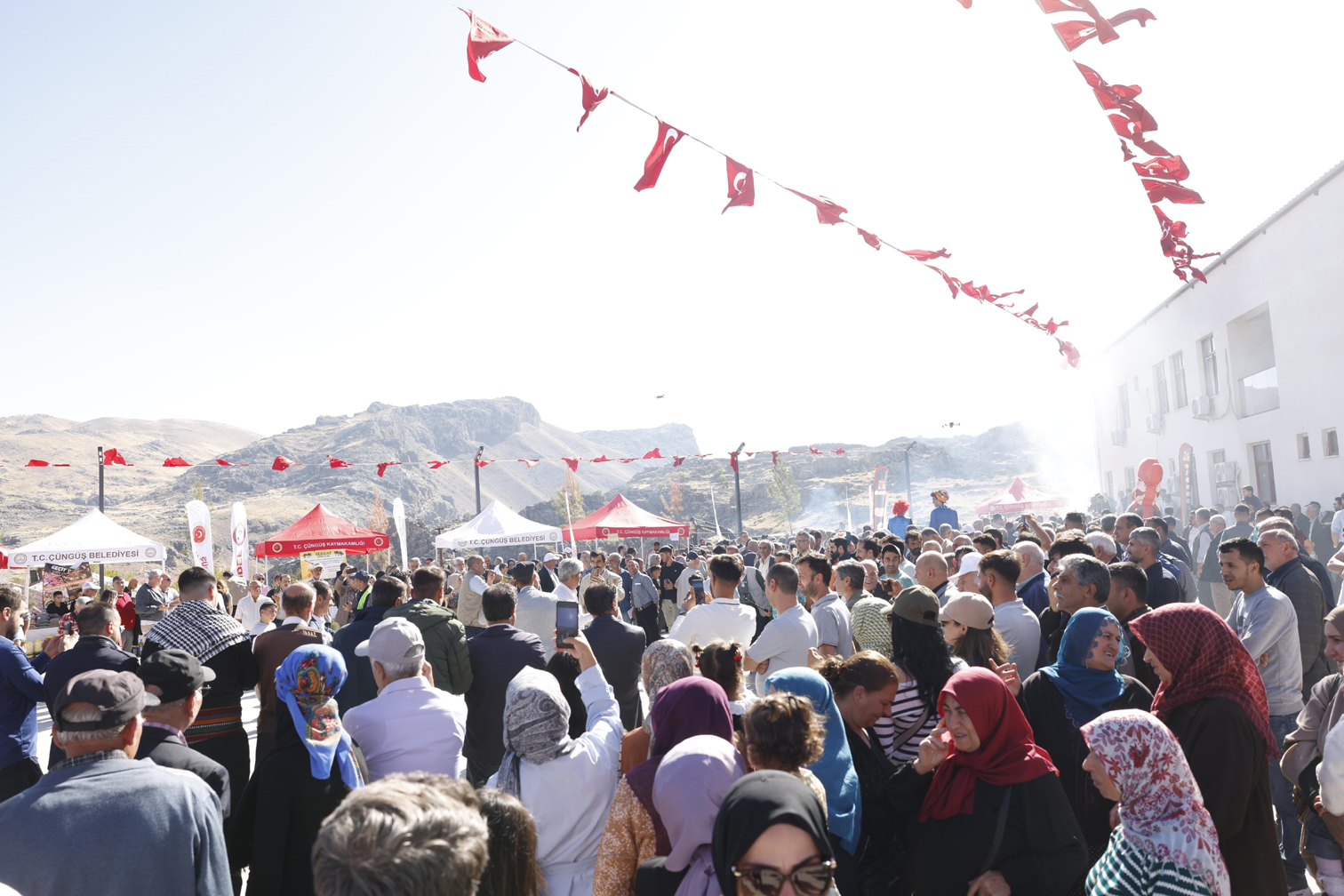 Festival3
