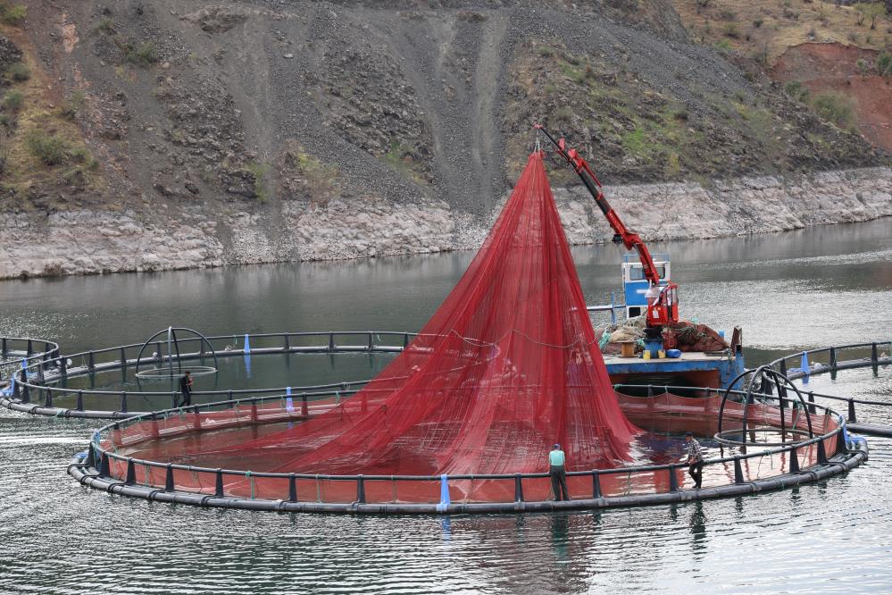 Balık Üretim Tesis