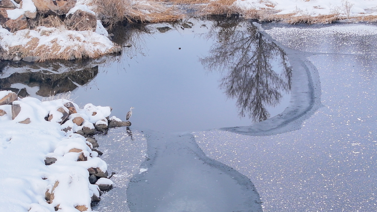 Balıkçıl Kuş Devegeçidi Barajı