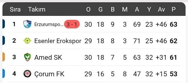 Amedspor Puan