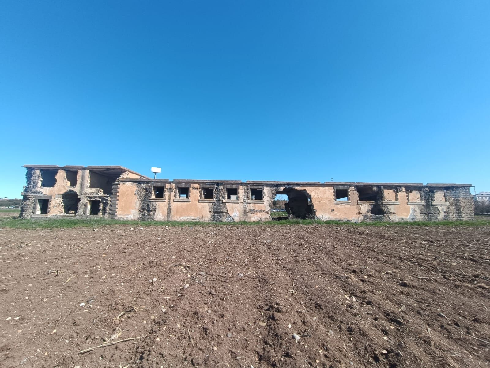 At Yetiştirme Tesis4