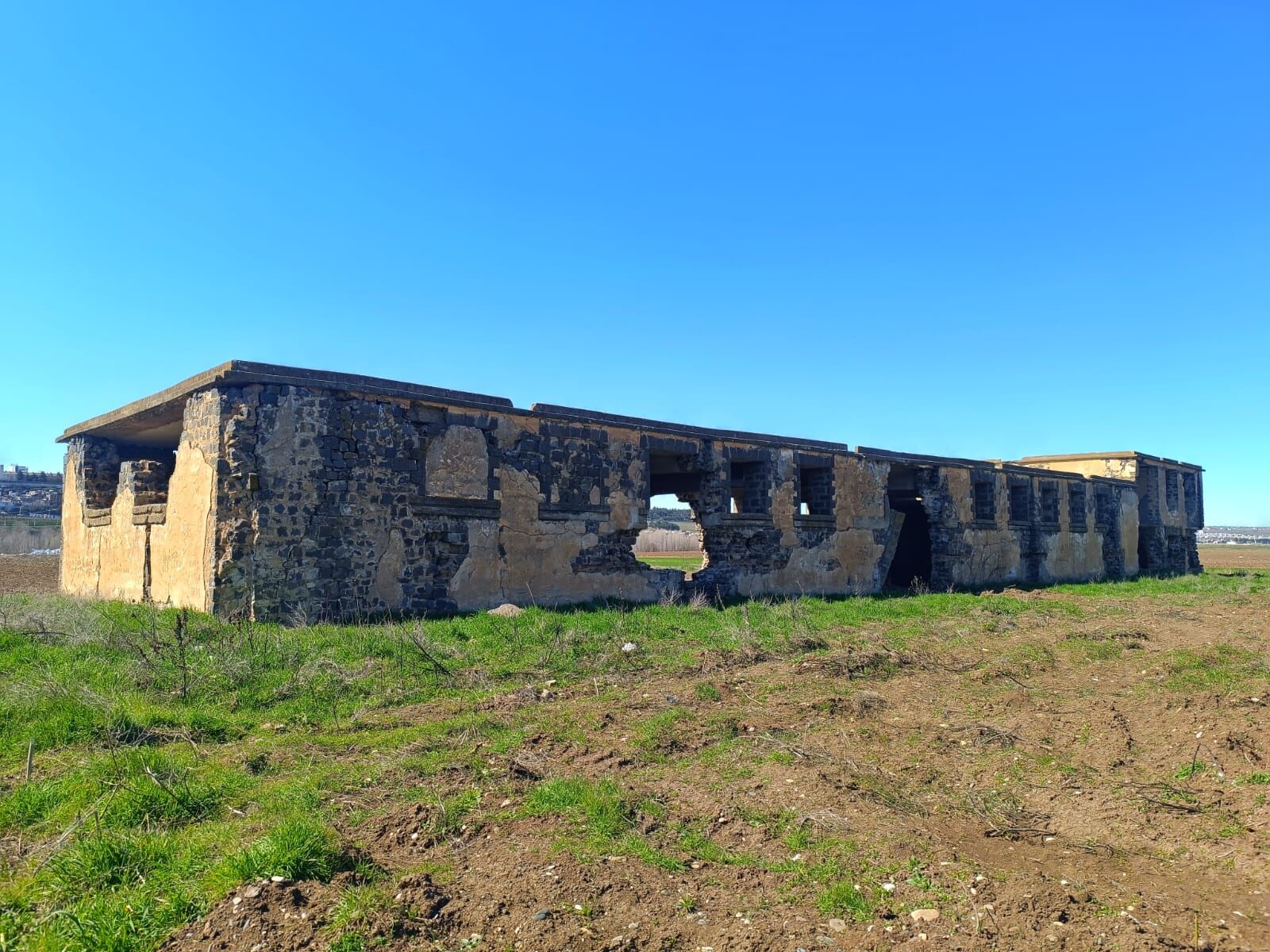 At Yetiştirme Tesisi1