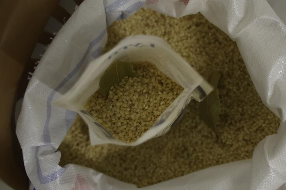 Karaccadağ Prinç-1