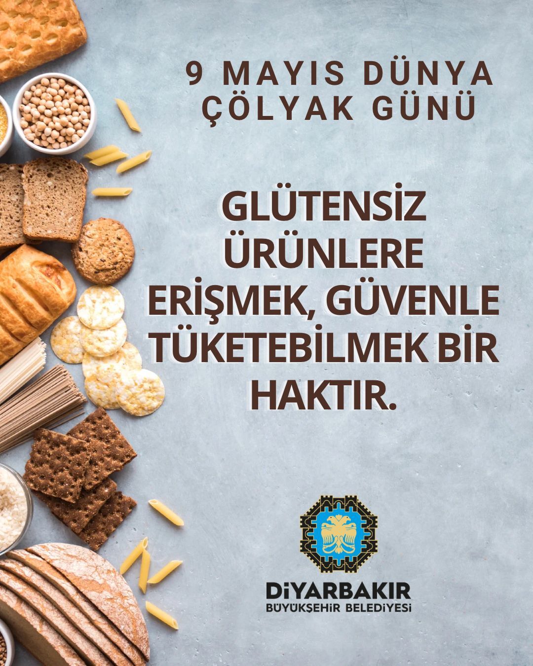 Ç Ö L Y A K