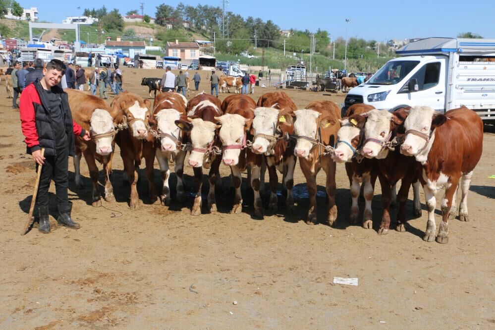 Kurbanlık2-1