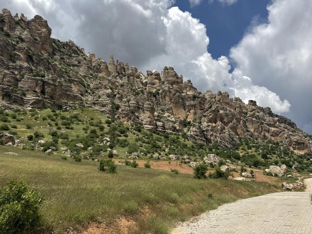 Gelincik Dağı2