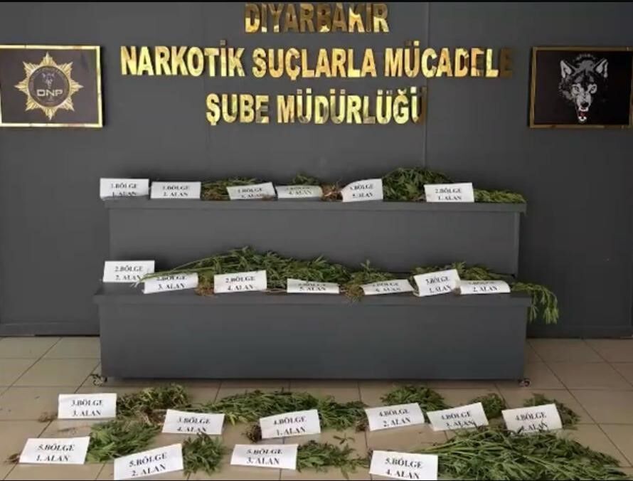 Uyuşturuu