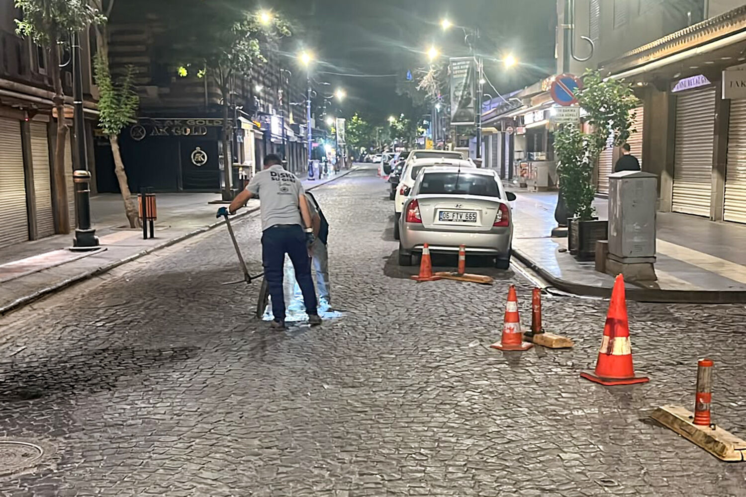 Diski Gece2