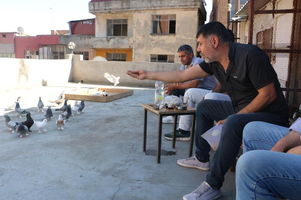 Güvercin-2