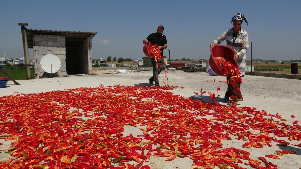 Hatay’dan Diyarbakır’a giden acının serüveni