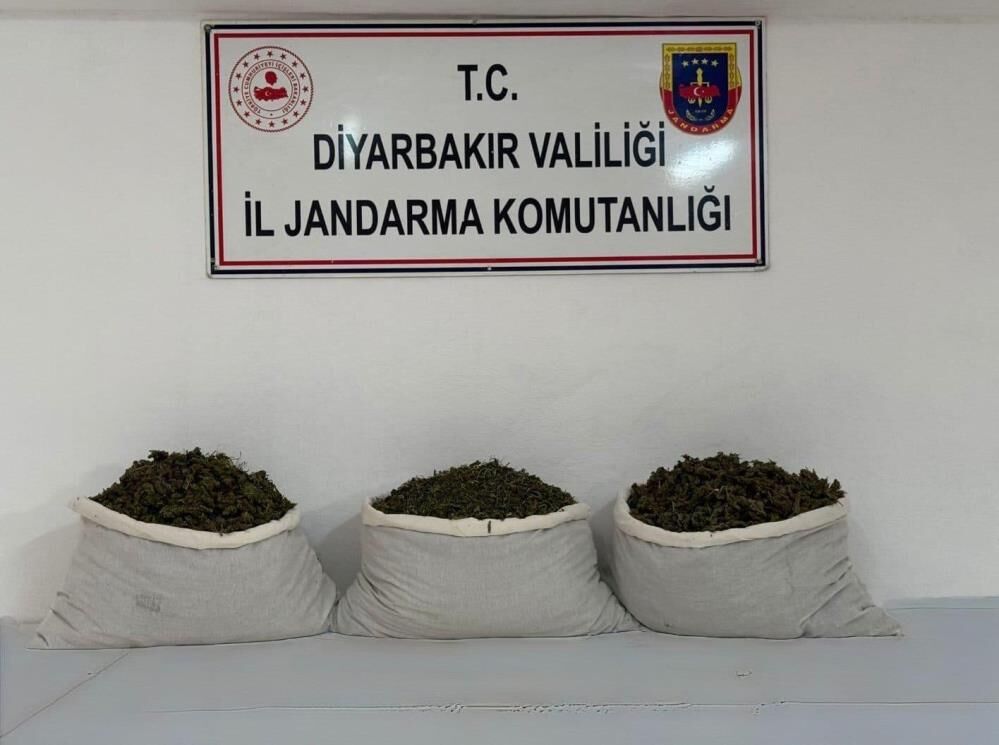 Diyarbakır’da uyuşturucu operasyonu: 253 bin kök kenevir ele geçirildi