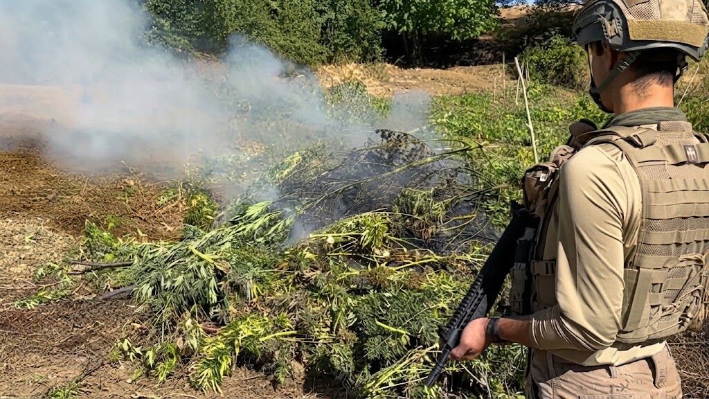 Diyarbakır’da 64 tim ve 570 personelle operasyon