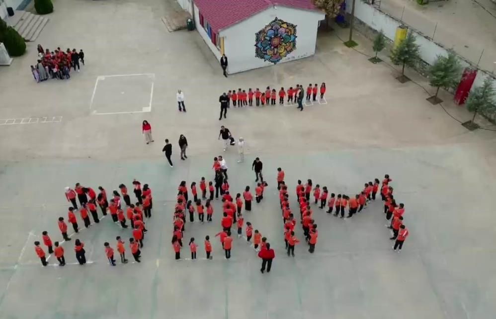 29 E K İ M