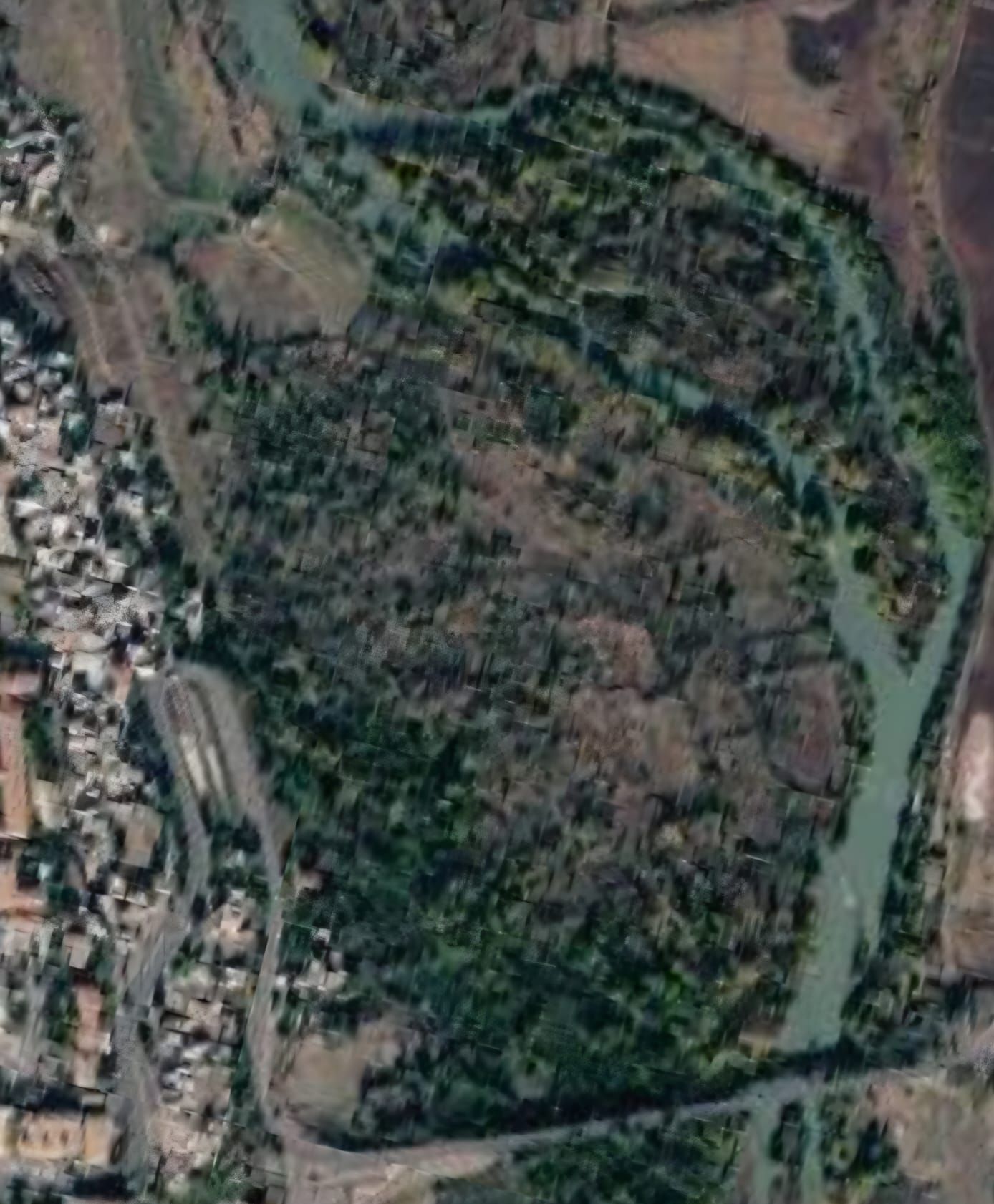 Gülü1
