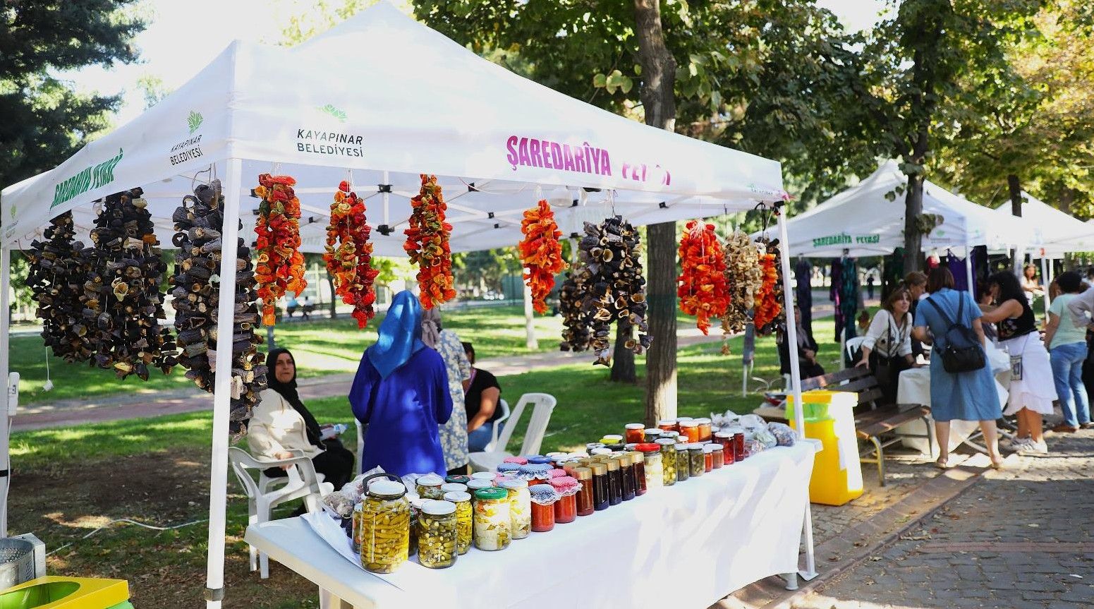 Kermes-6