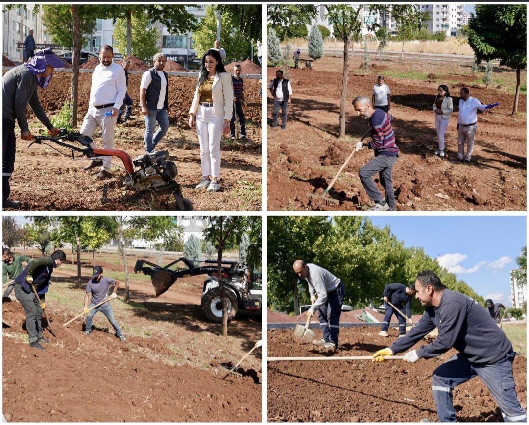 Park Çalışma2